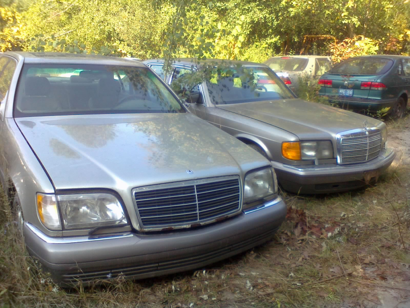 Illustration for article titled I Visited That Must-Sell Car Collection